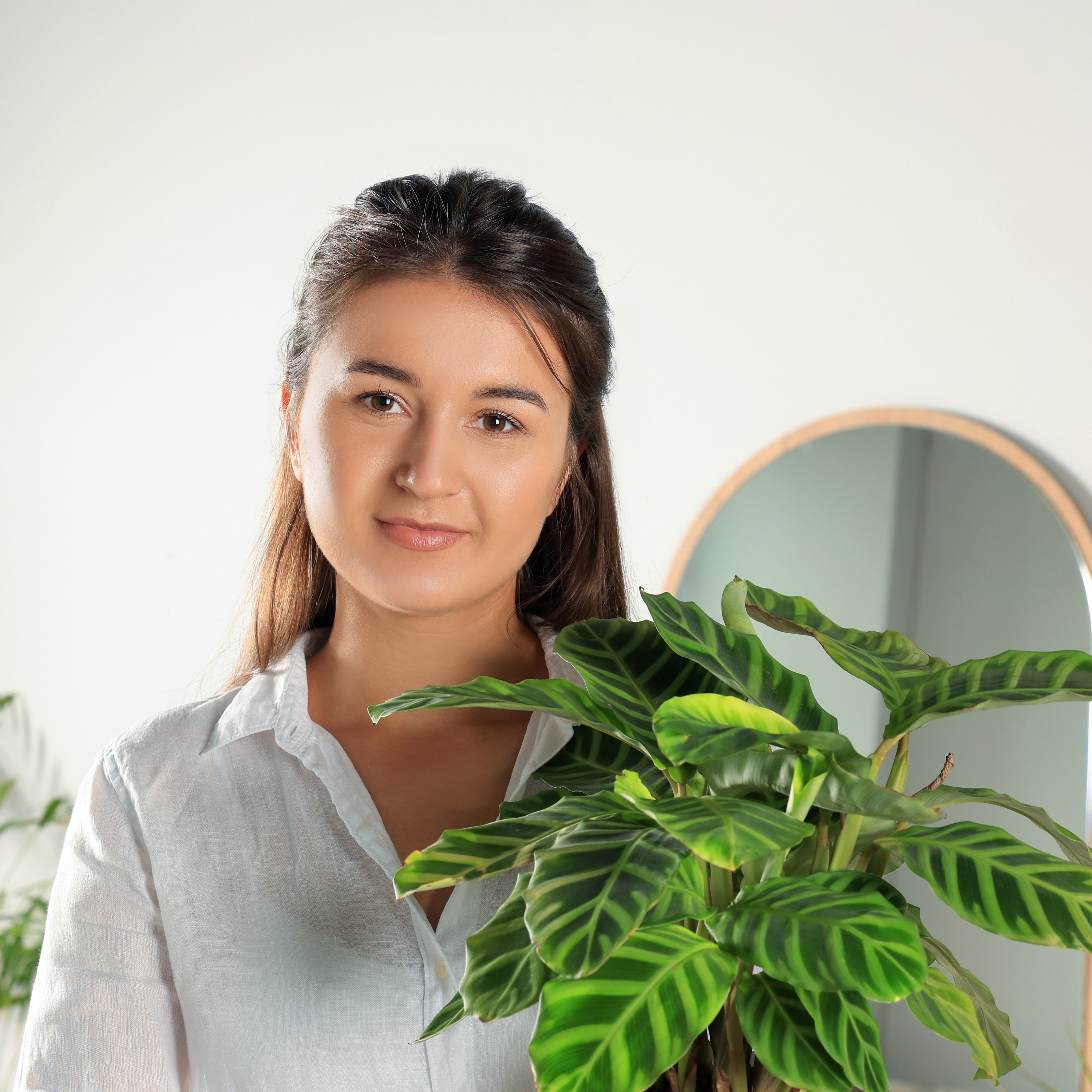 Untitled design (17)